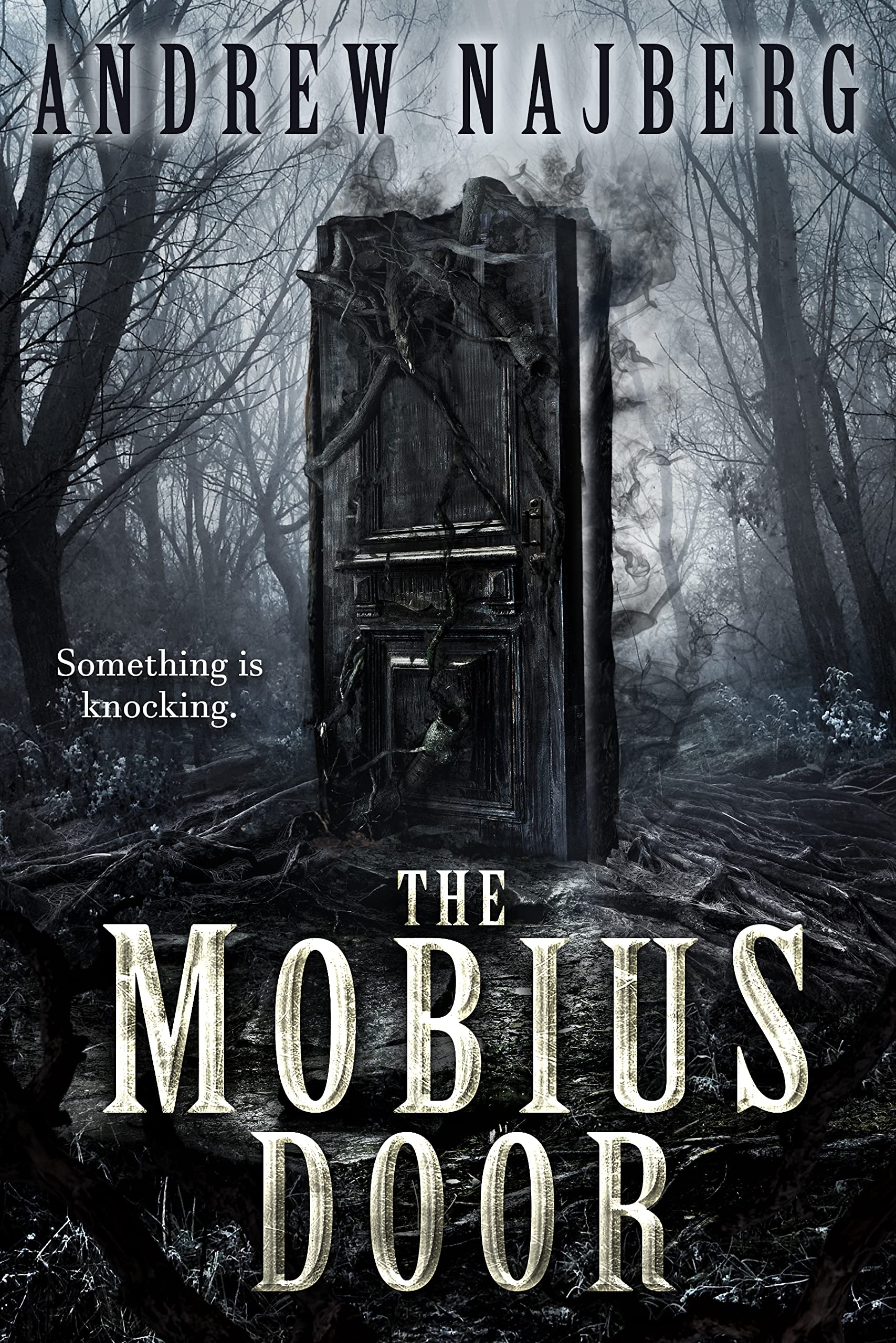 The Mobius Door book cover