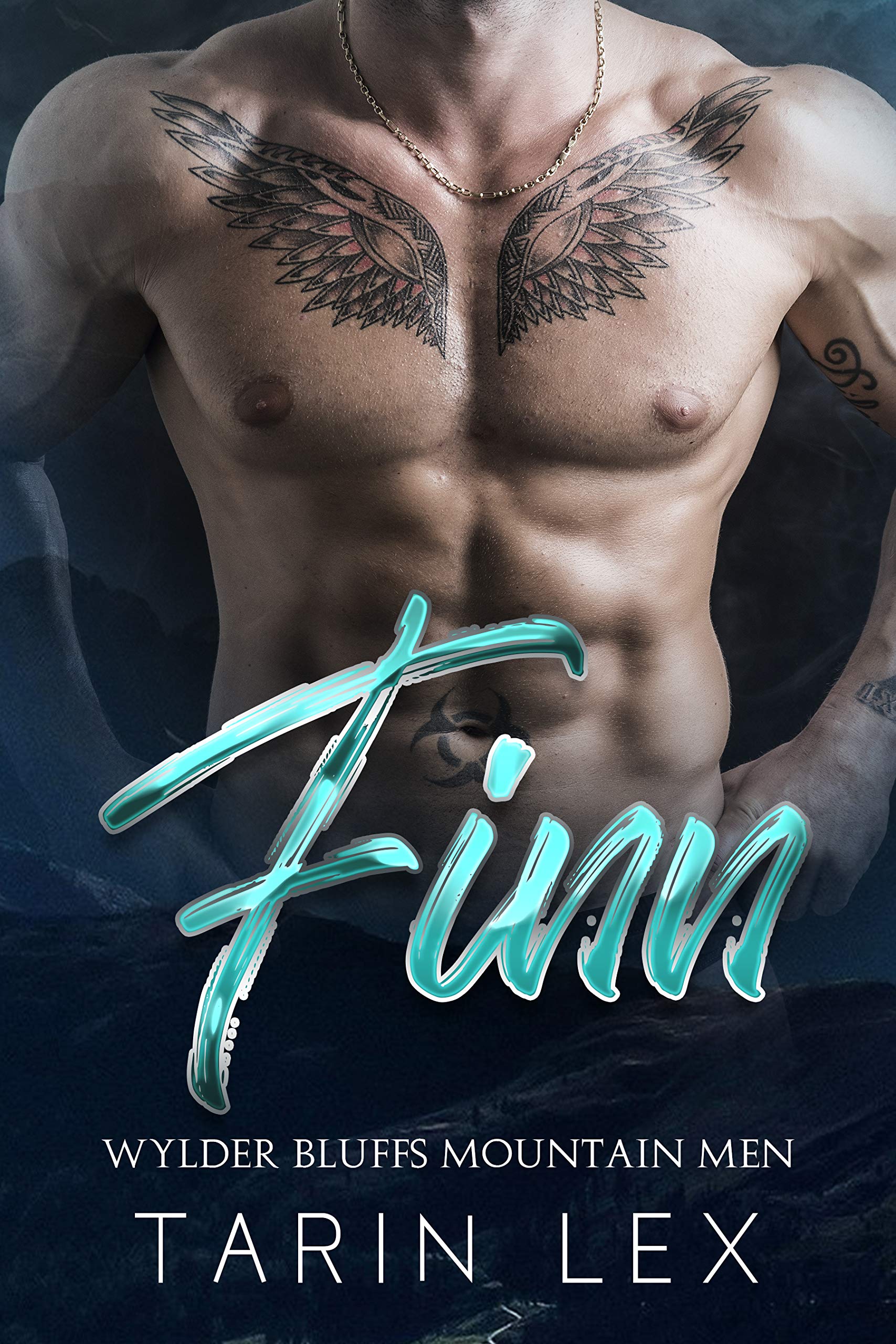 Finn book cover