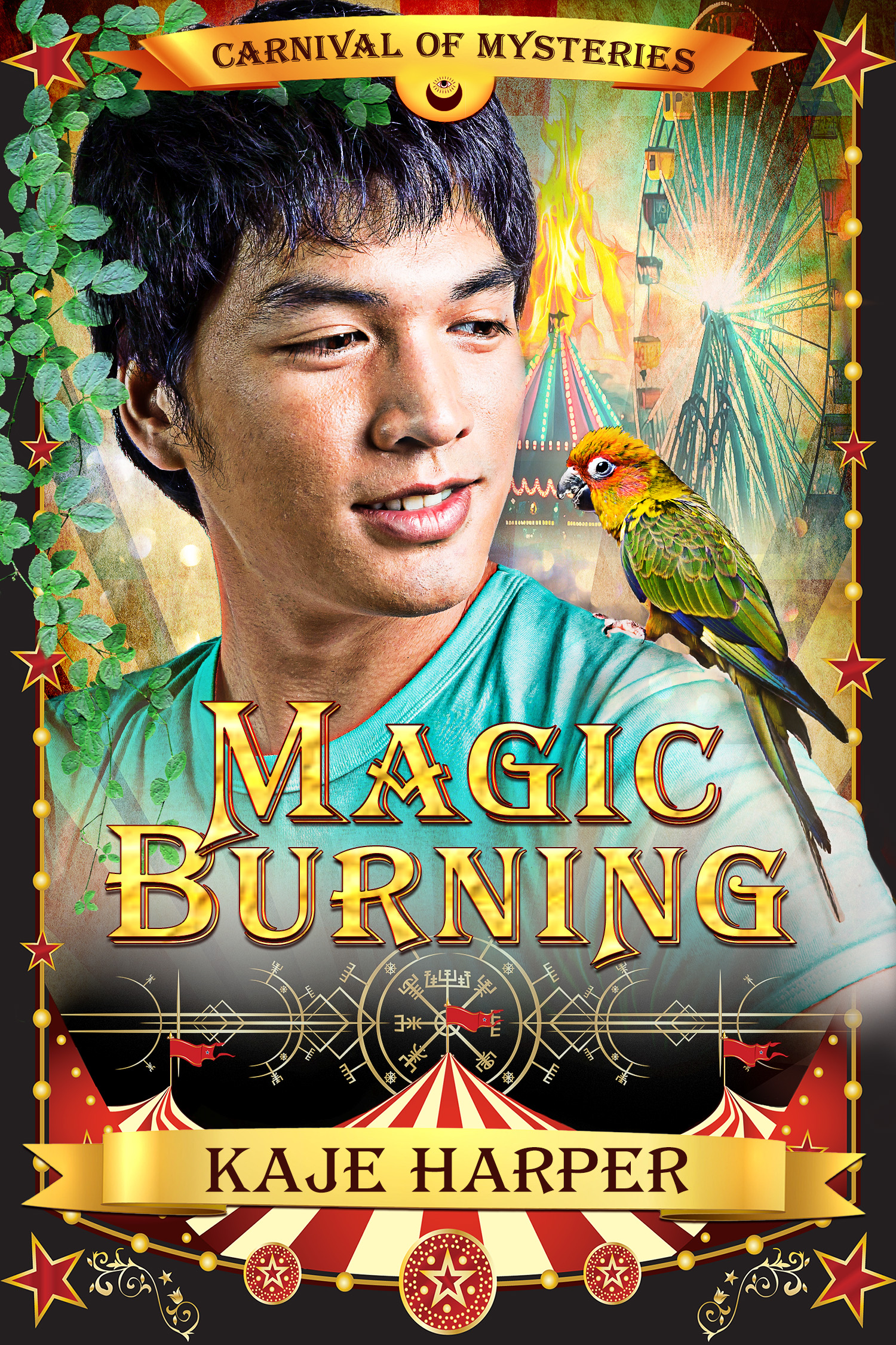 Magic Burning book cover