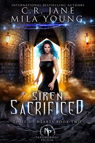 Thief of Hearts book cover 2