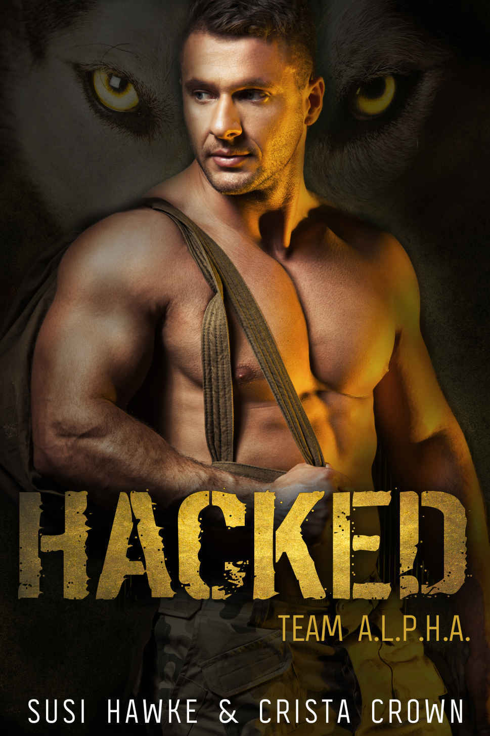 Hacked book cover