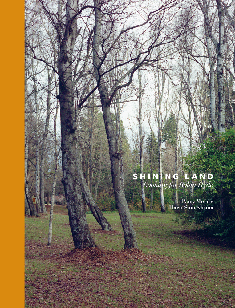 Shining Land book cover