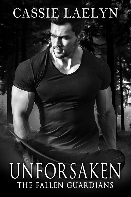 The Fallen Guardians book cover 1