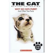 The Cat book cover