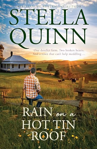 Rain on a Hot Tin Roof book cover