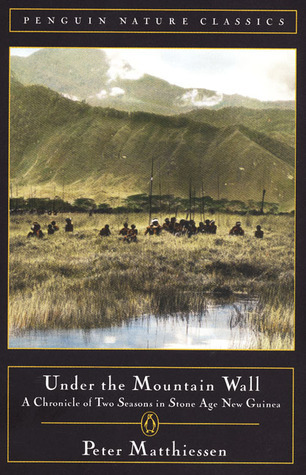 Under the Mountain Wall book cover