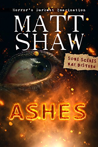 Ashes book cover