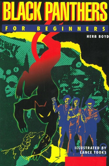 Black Panthers For Beginners book cover