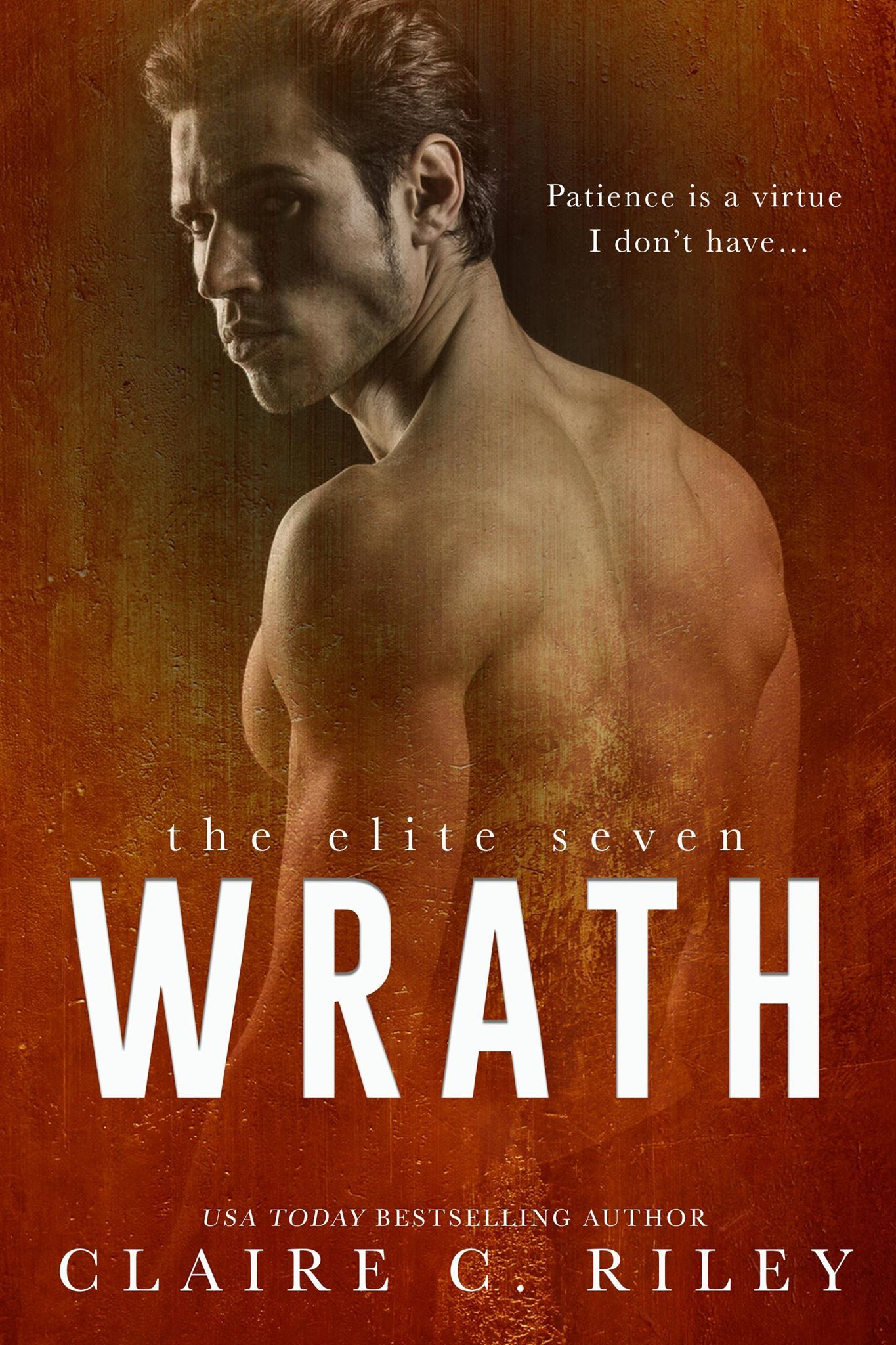 The Elite Seven book cover 3