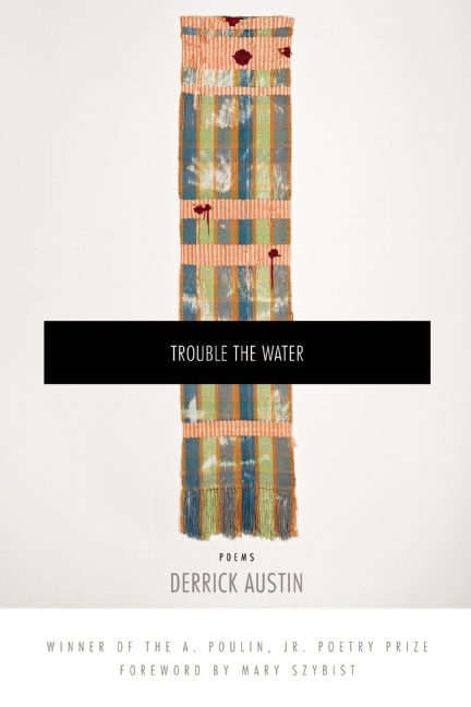 Trouble the Water book cover