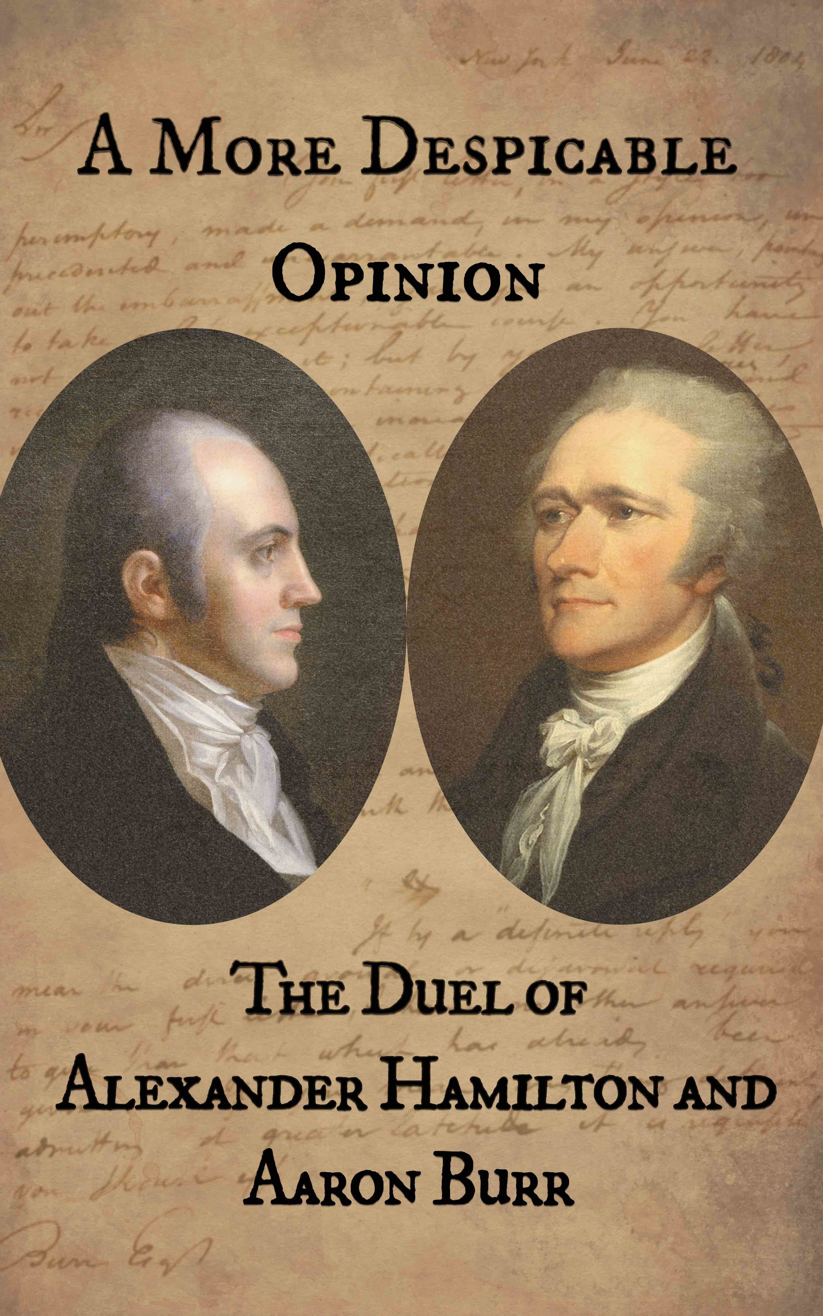 A More Despicable Opinion book cover