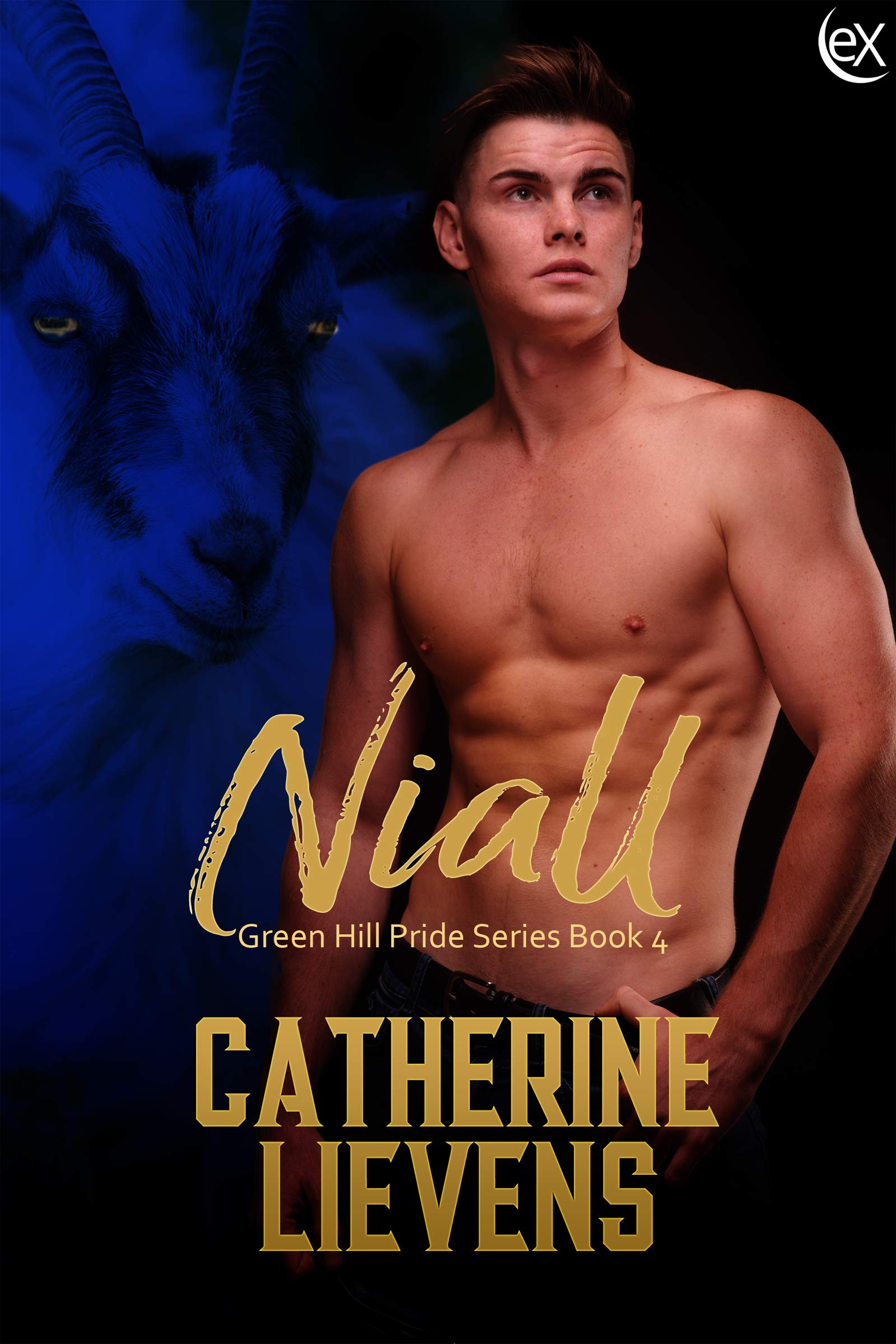 Niall book cover