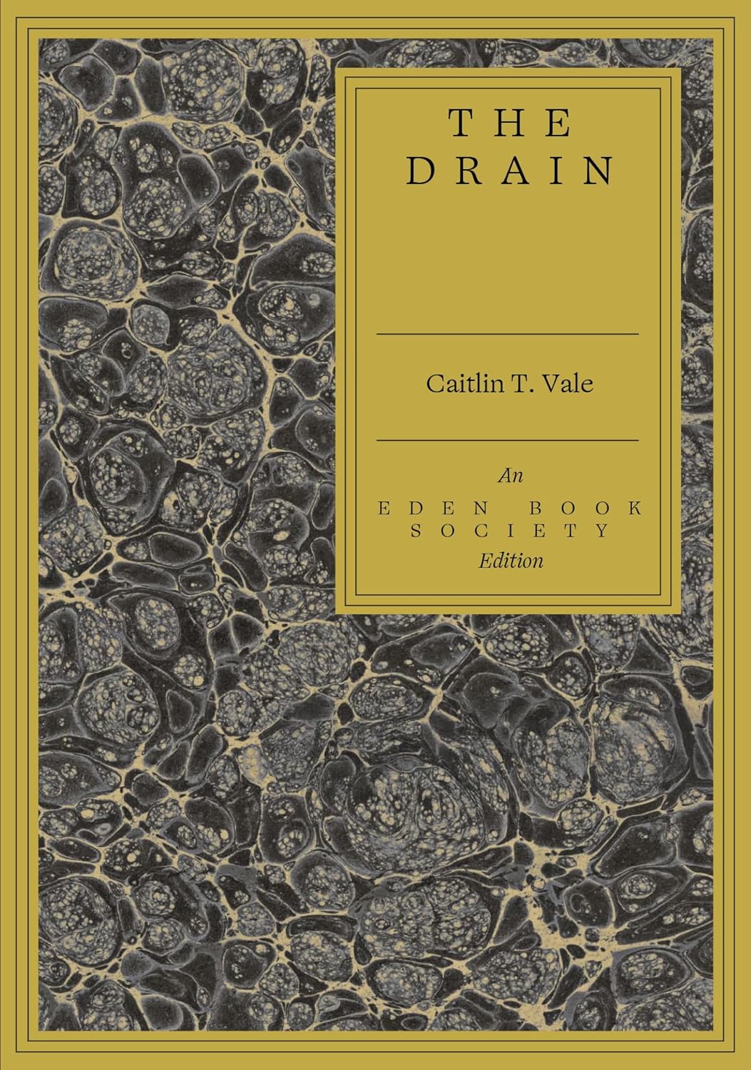 The Drain book cover