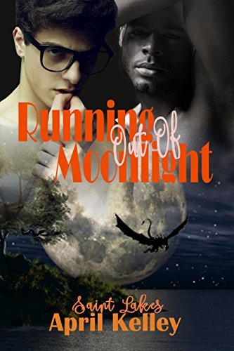 Saint Lakes book cover 2