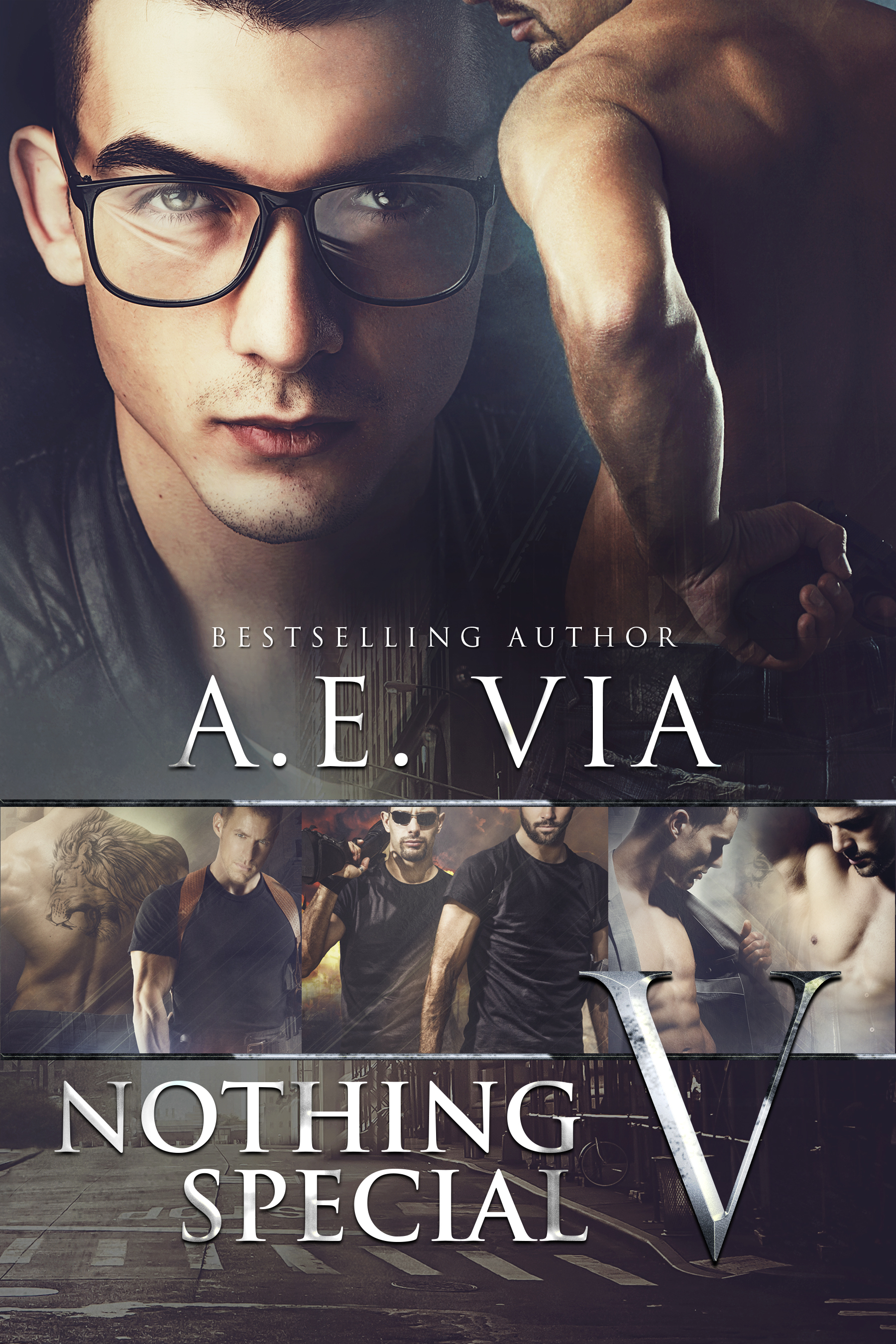 Nothing Special V book cover