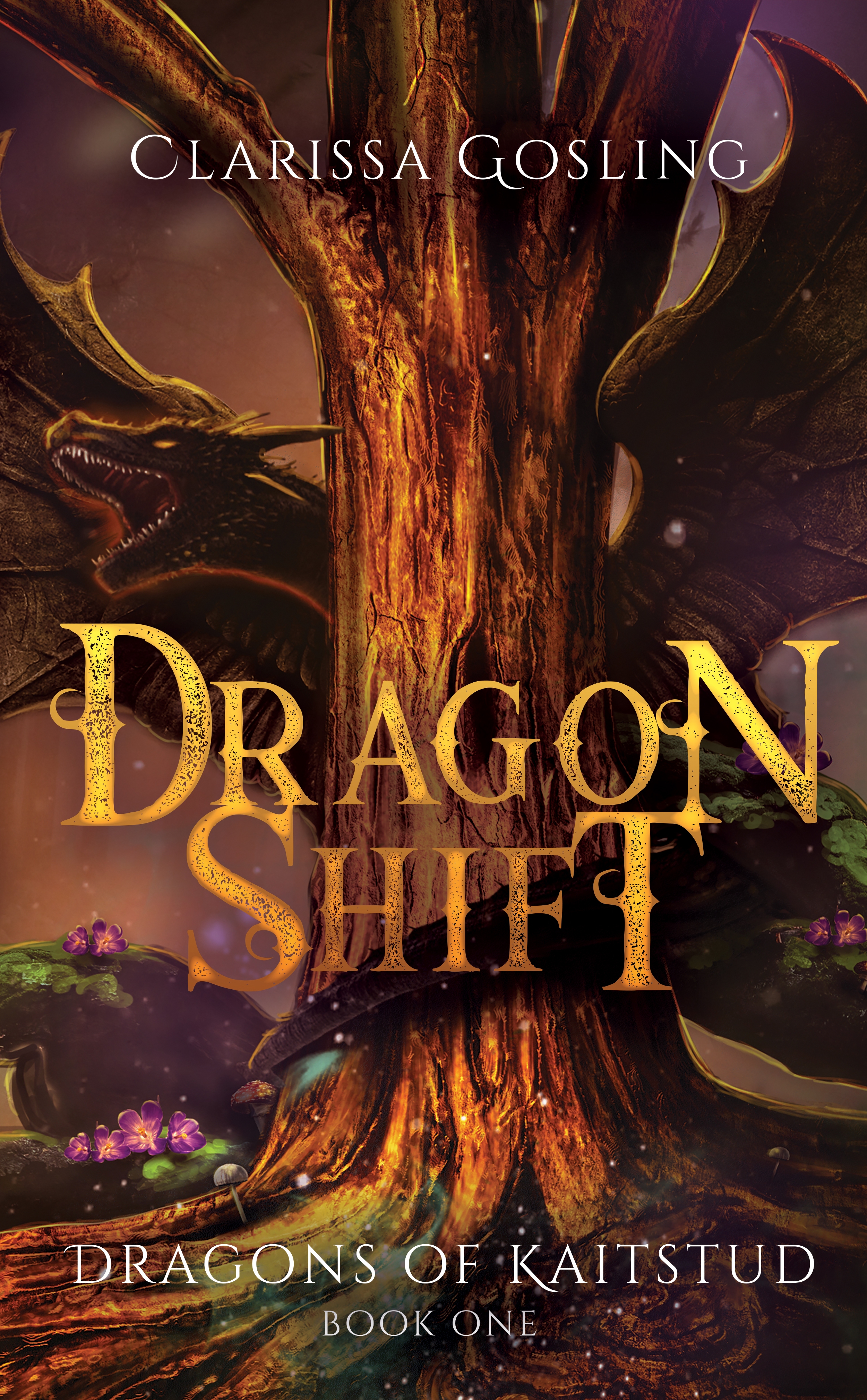 Dragons of Kaitstud book cover 1