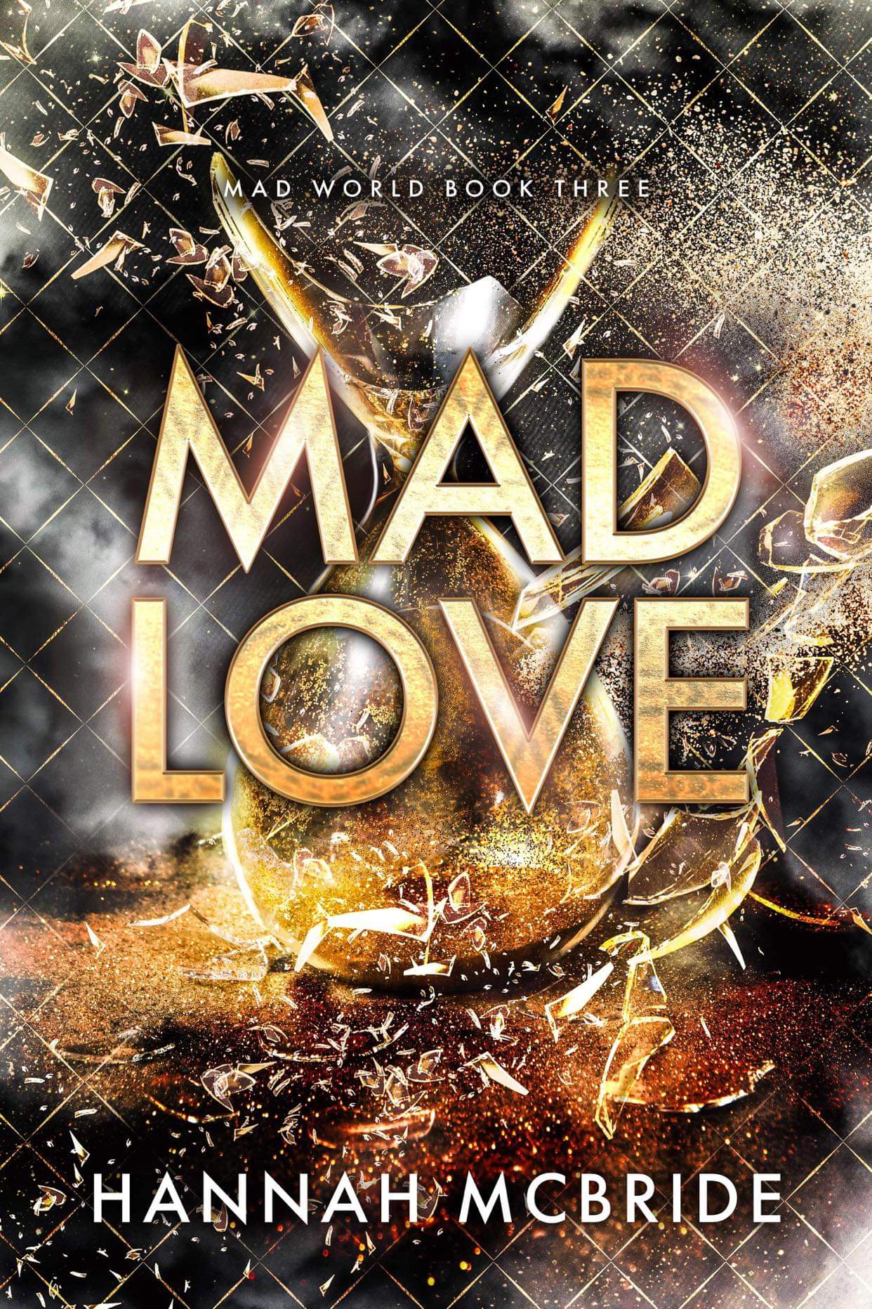 Mad World book cover 3