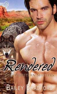 Rendered book cover