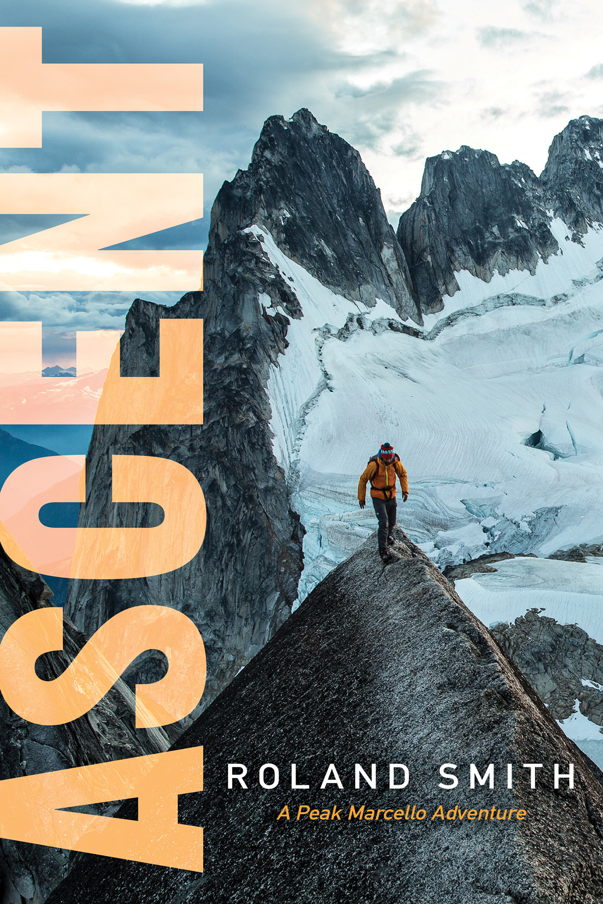 Peak book cover 3