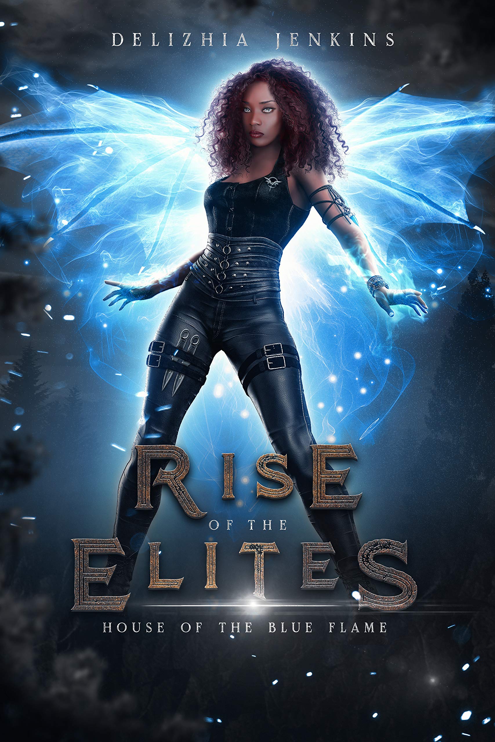 The Rise of the Elites Collection book cover 1