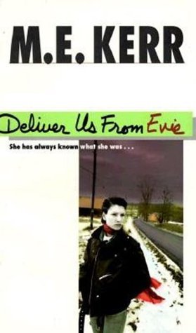 Deliver Us from Evie book cover