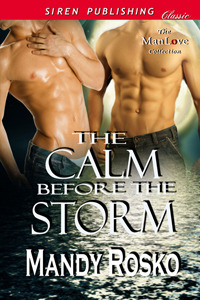 Night and Day book cover 2