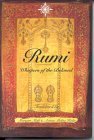 Rumi book cover