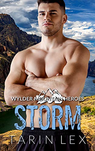 Storm book cover