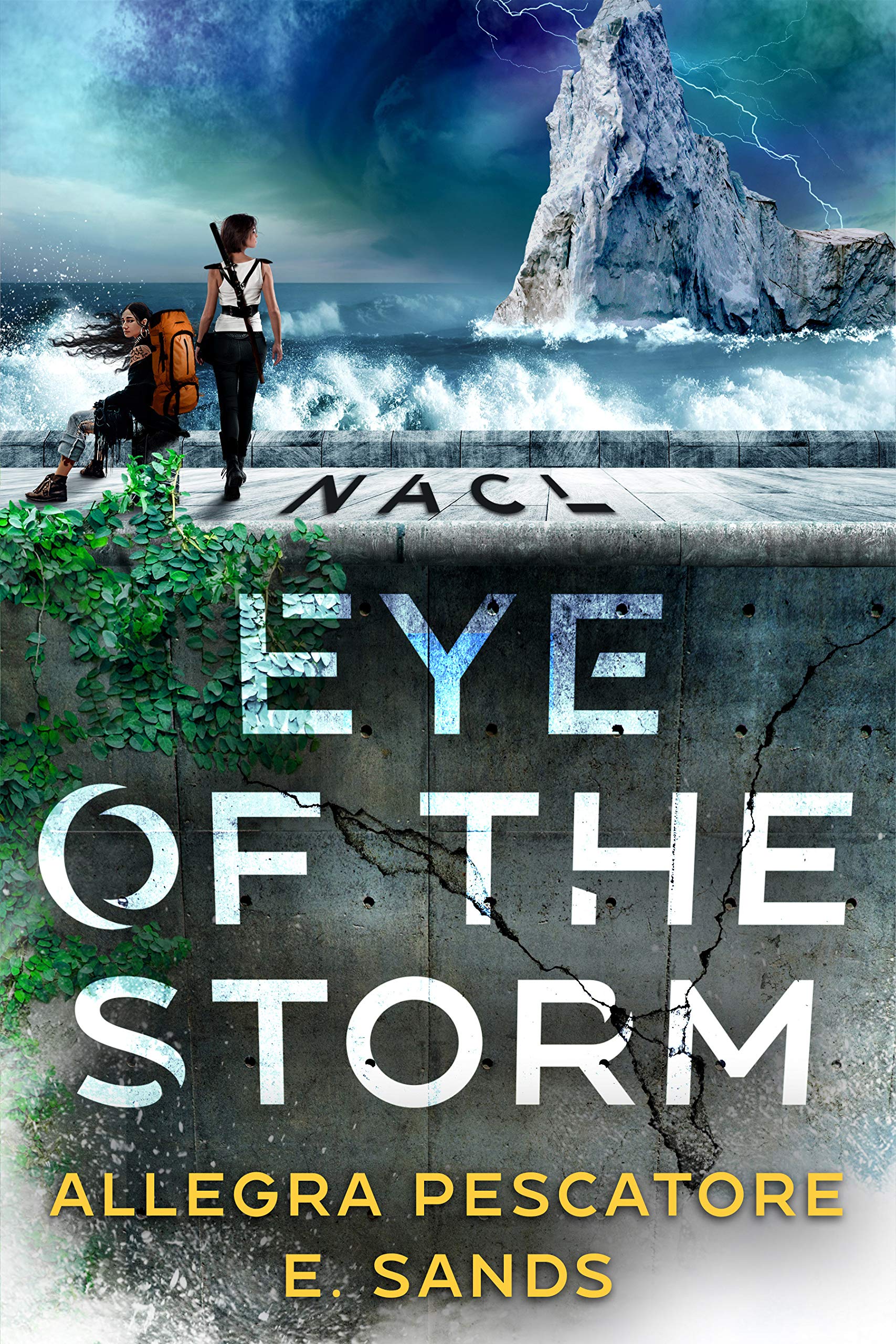 NACL book cover