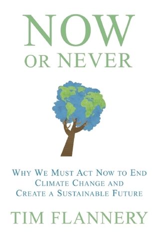 Now or Never book cover