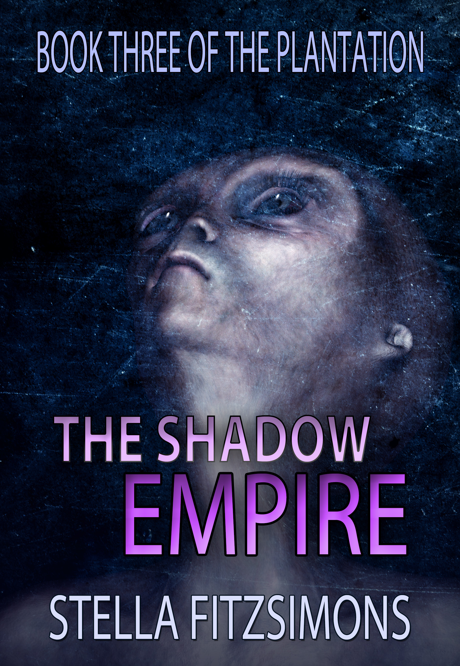 The Plantation book cover 3