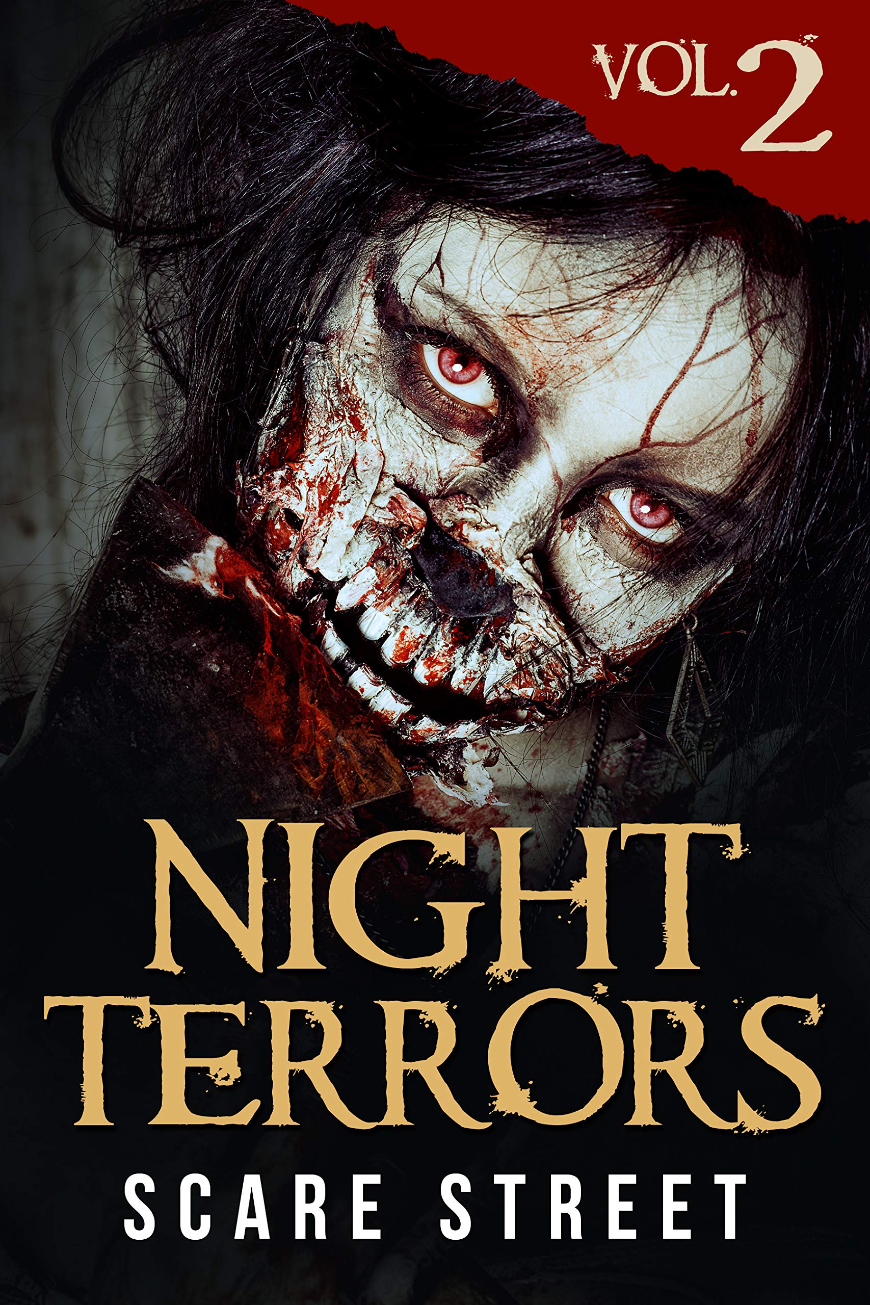 Night Terrors book cover 1