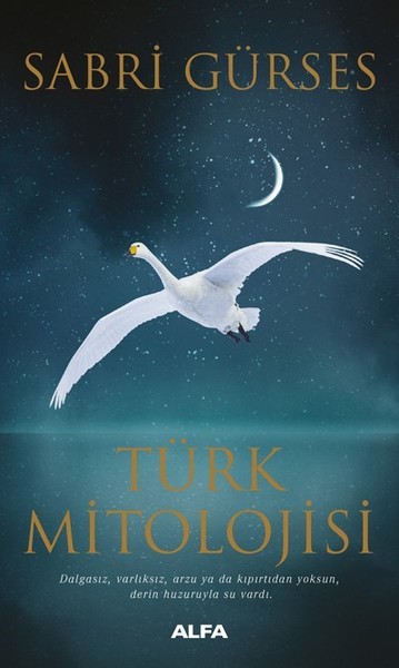 Türk Mitolojisi book cover