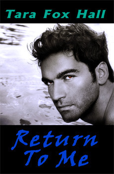 Return to Me book cover