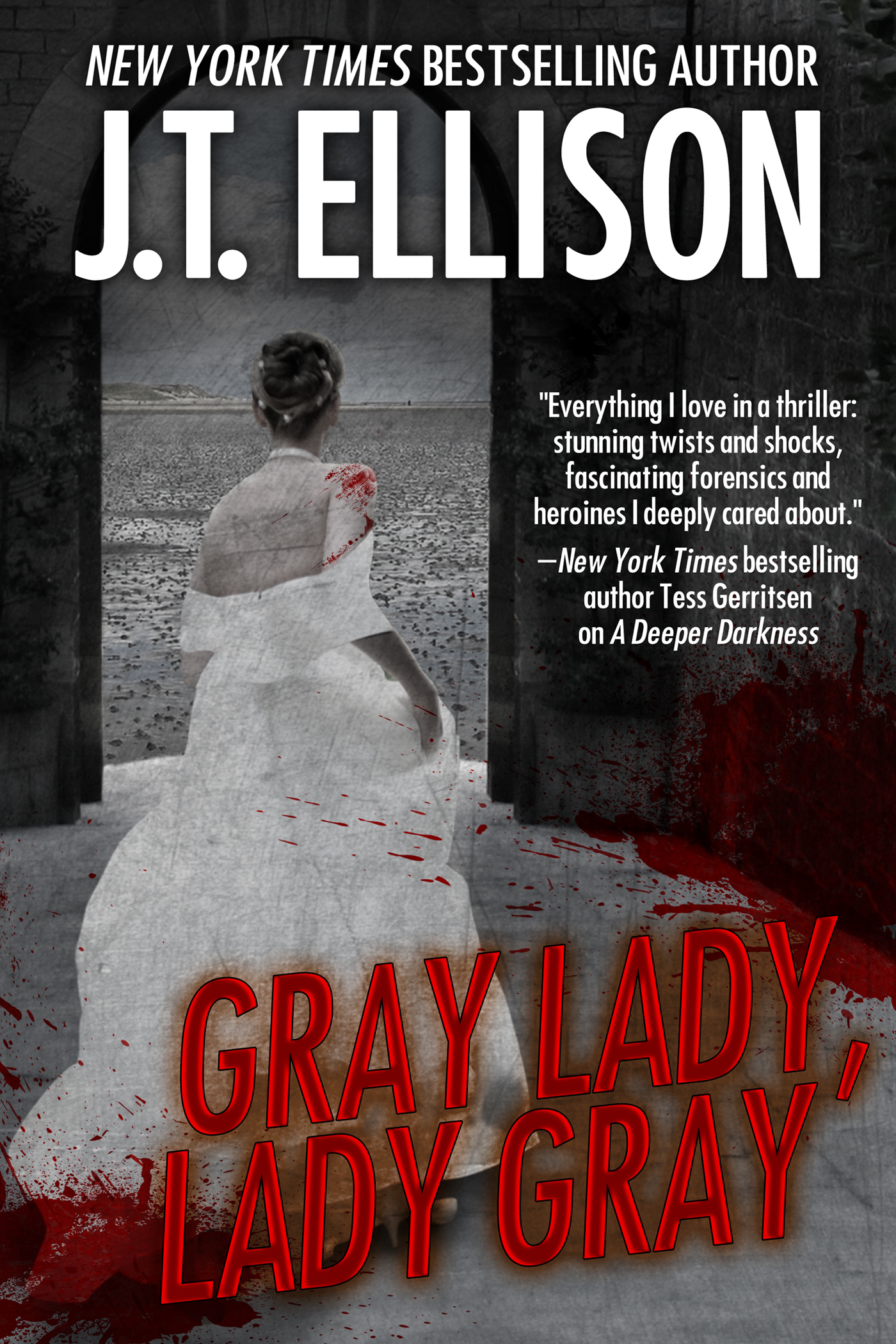 Gray Lady, Lady Gray book cover