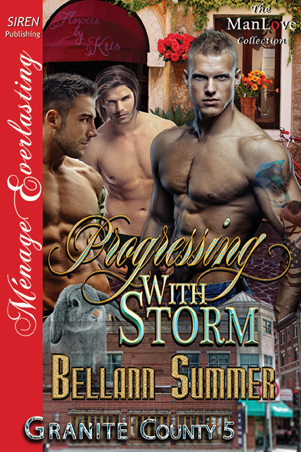 Progressing with Storm book cover
