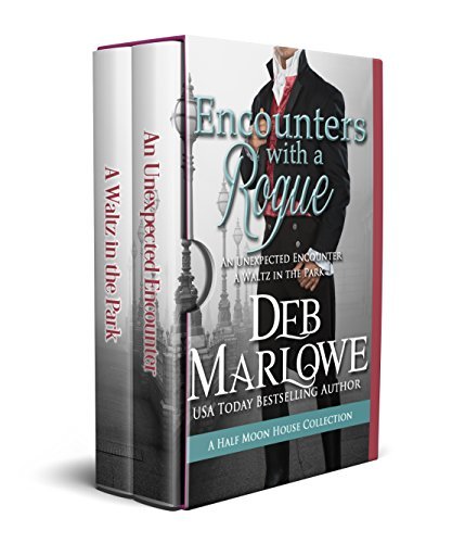 Encounters With a Rogue book cover