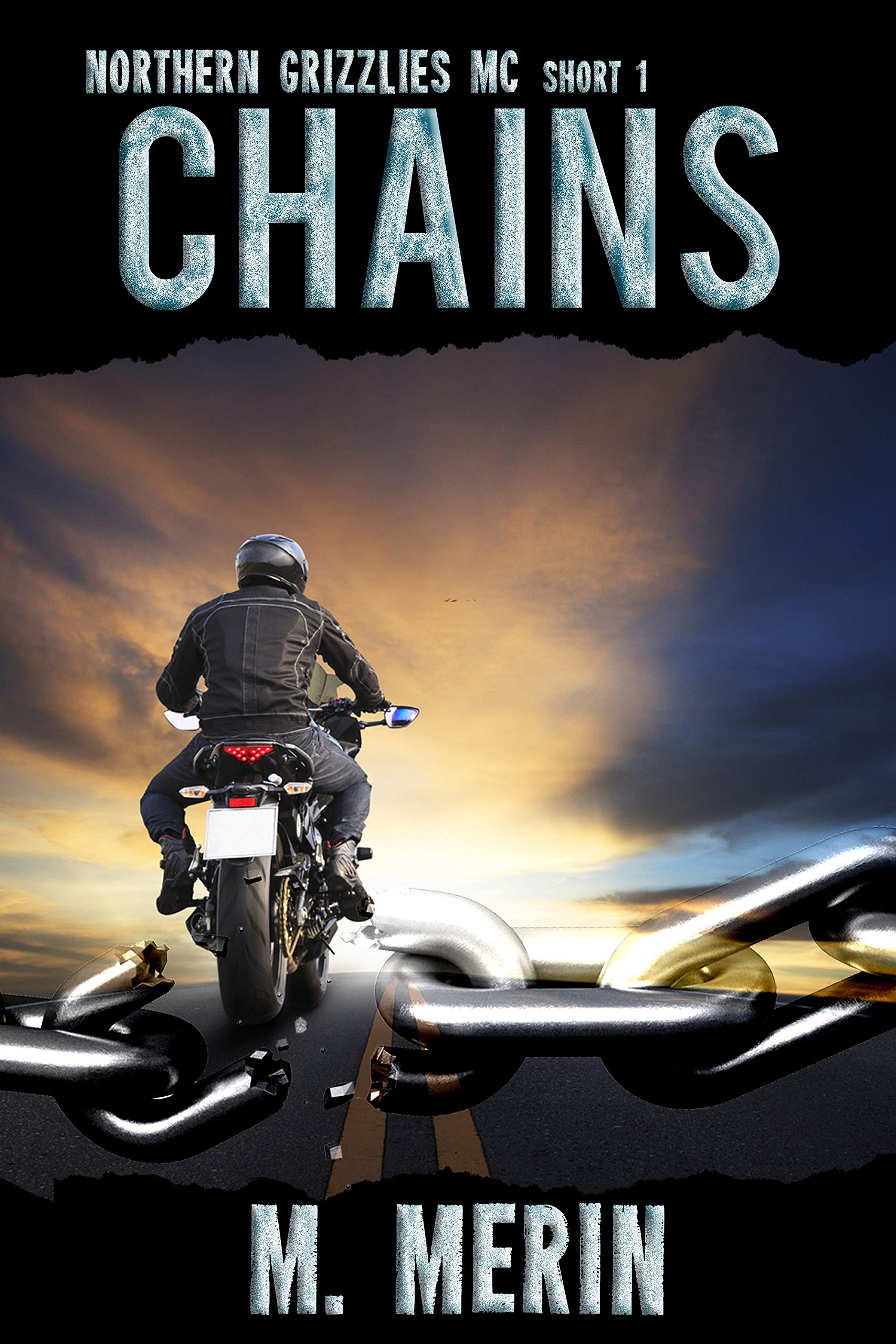 Chains book cover
