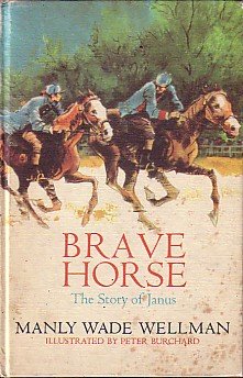 Brave Horse book cover