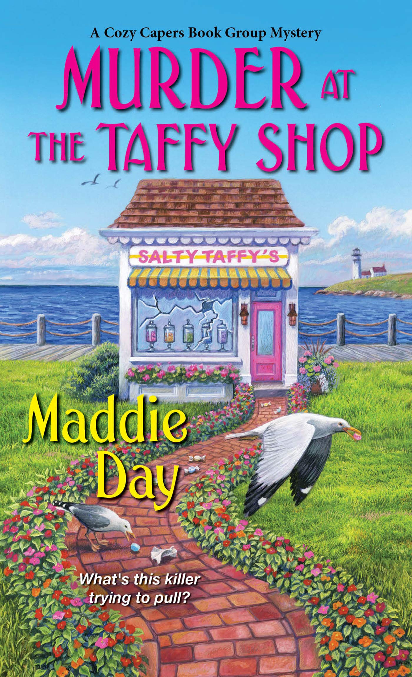 Cozy Capers Book Group Mystery book cover 2