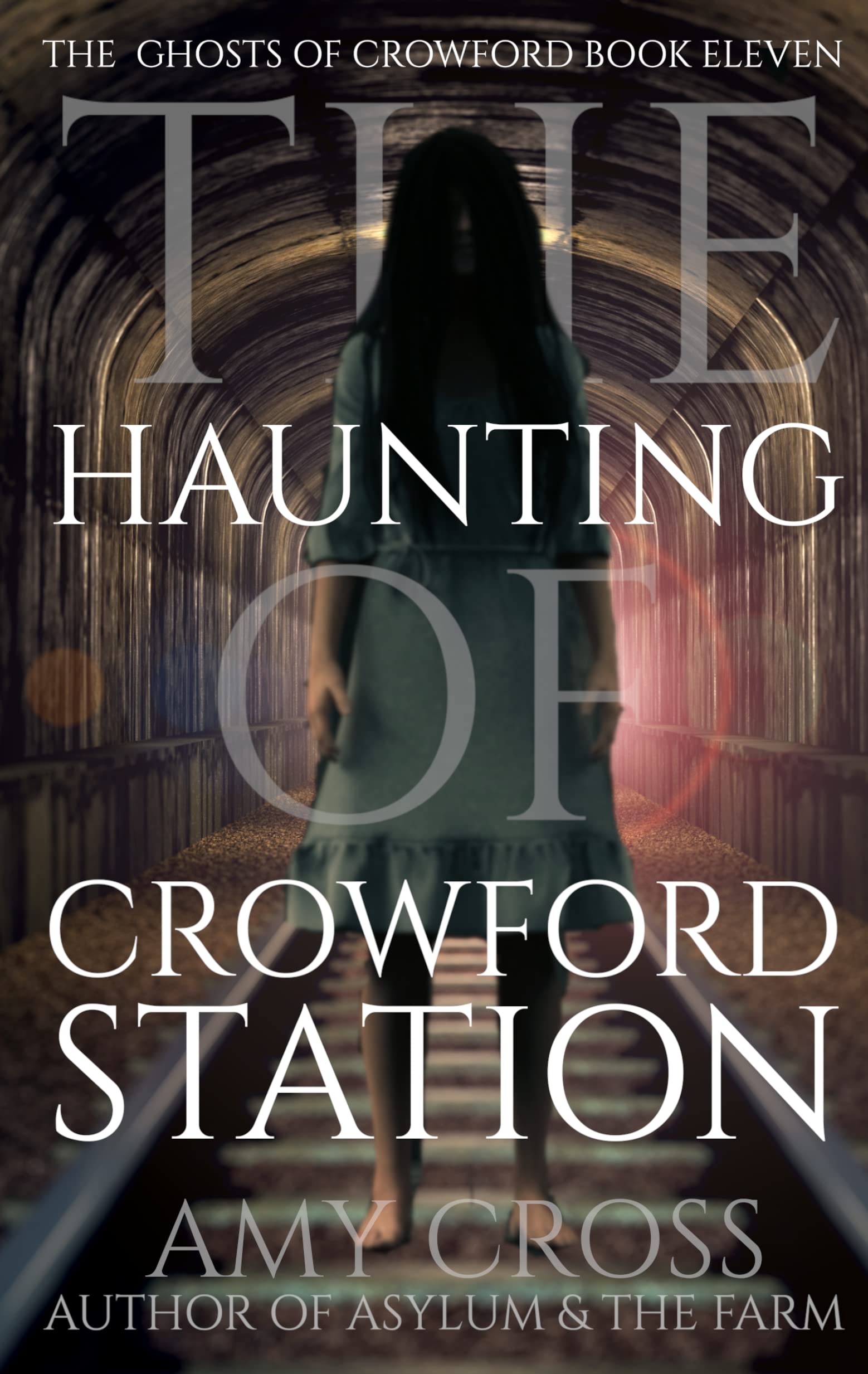 The Haunting of Crowford Station book cover