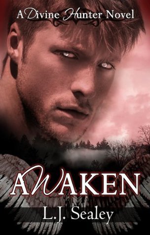 Divine Hunter book cover 1