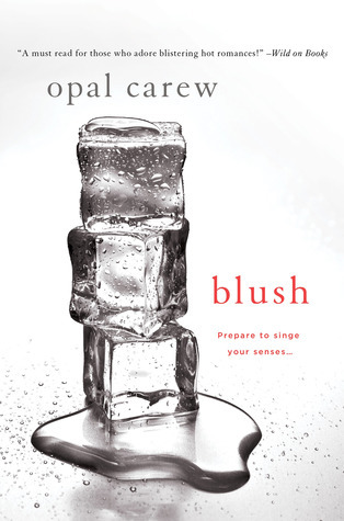 Blush book cover