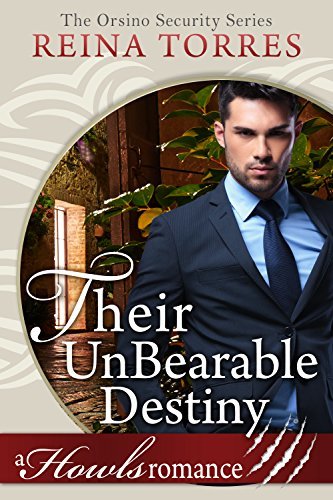 Orsino Security book cover 3