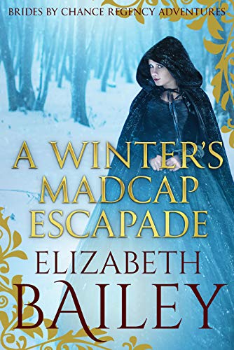 A Winter's Madcap Escapade book cover