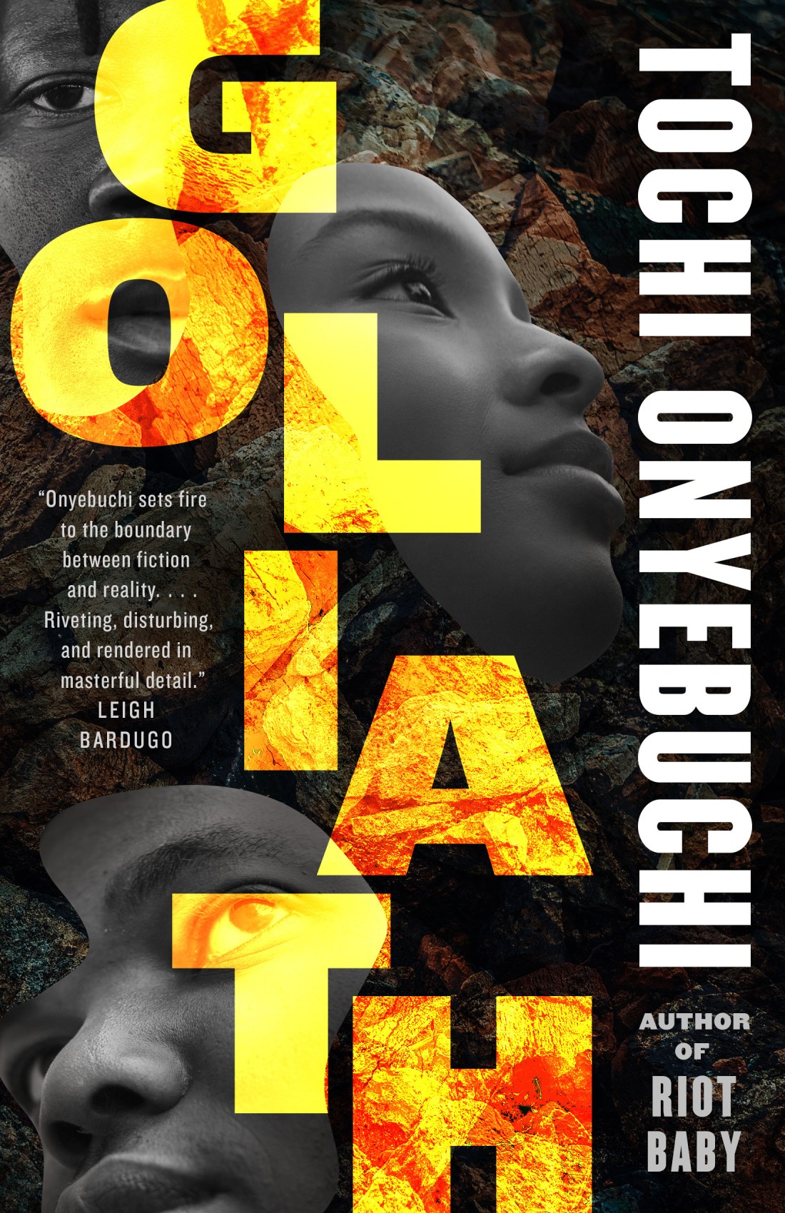 Goliath book cover