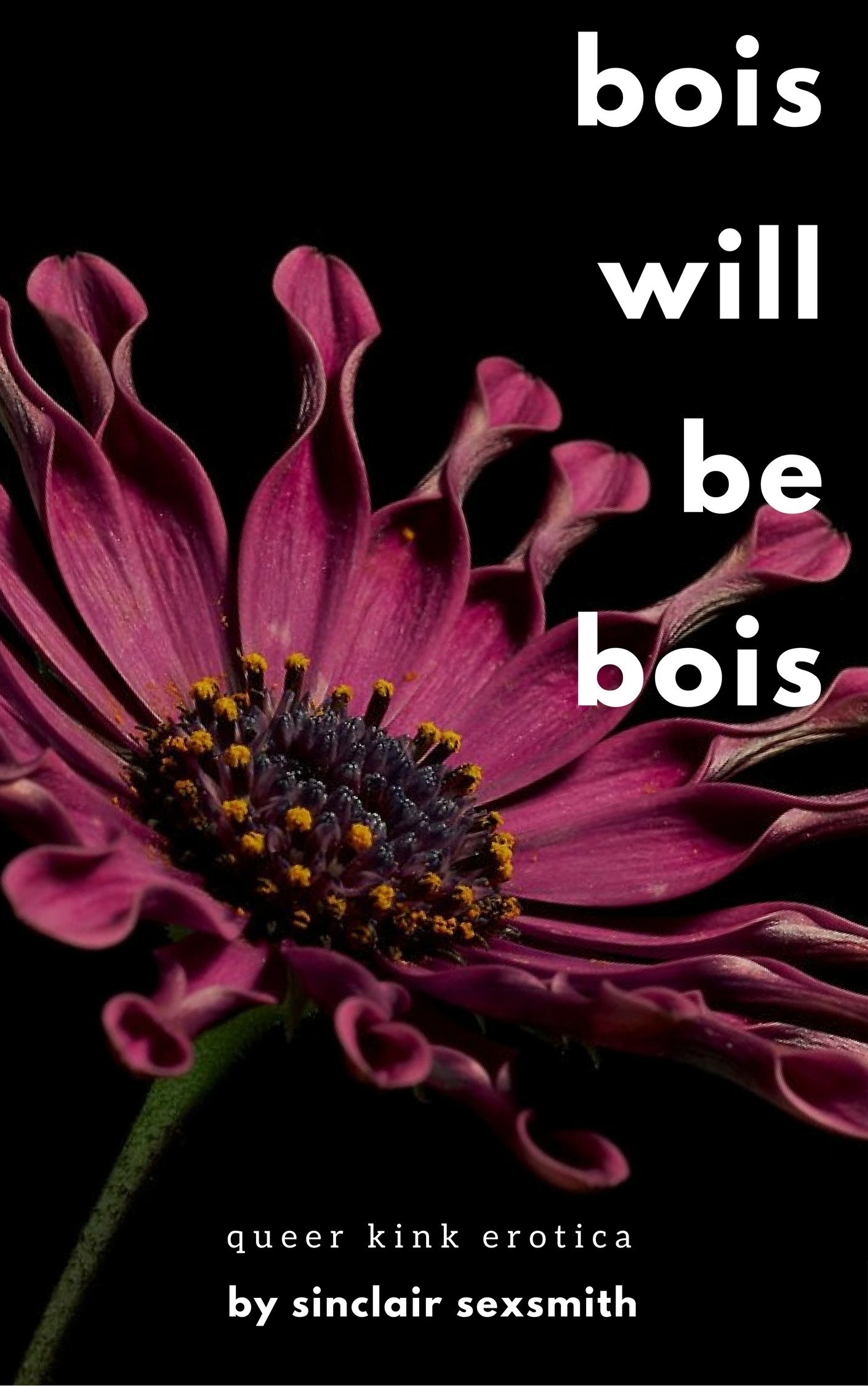 Bois Will Be Bois book cover