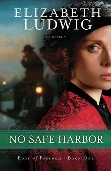Edge of Freedom book cover 1