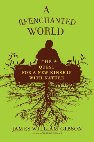 A Reenchanted World book cover