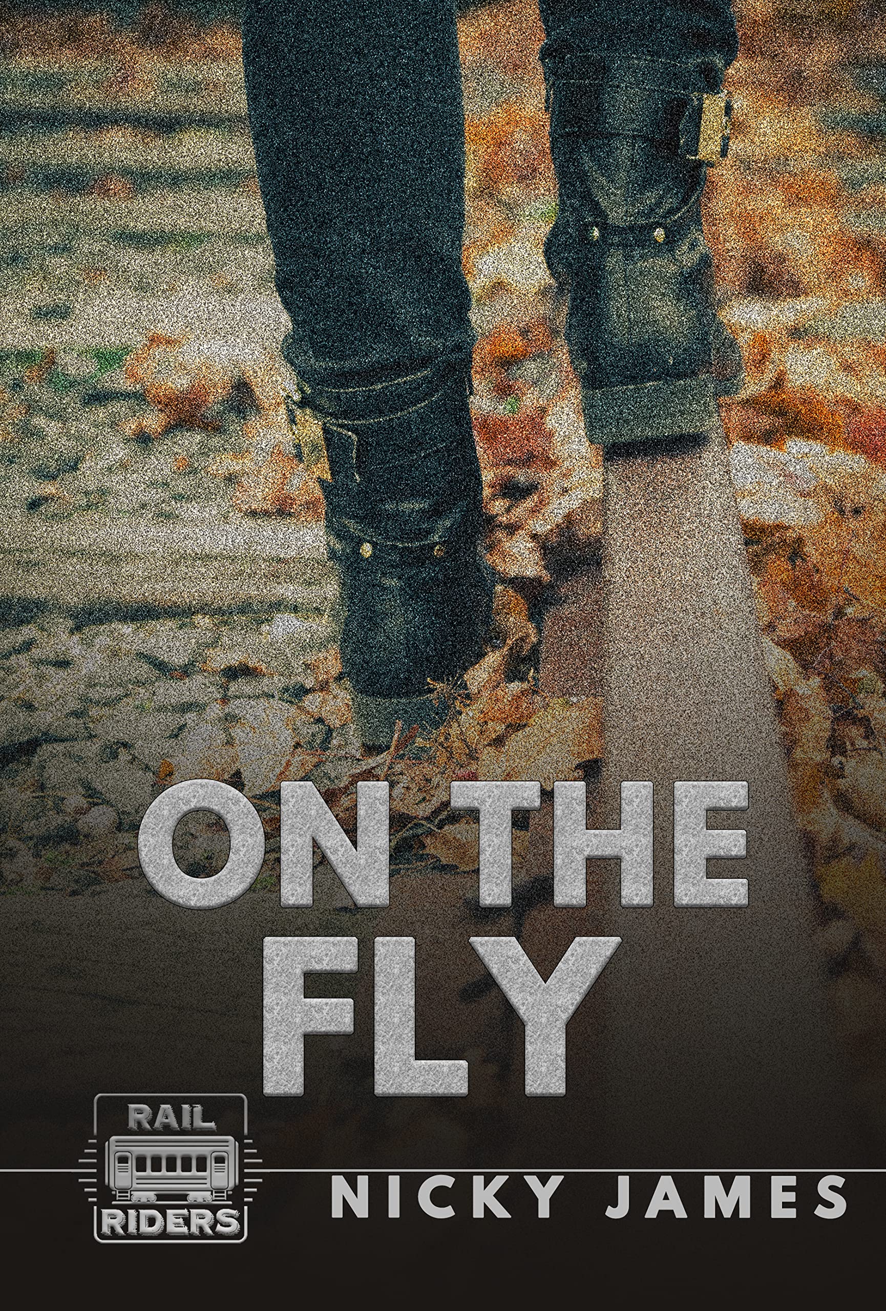 On the Fly book cover